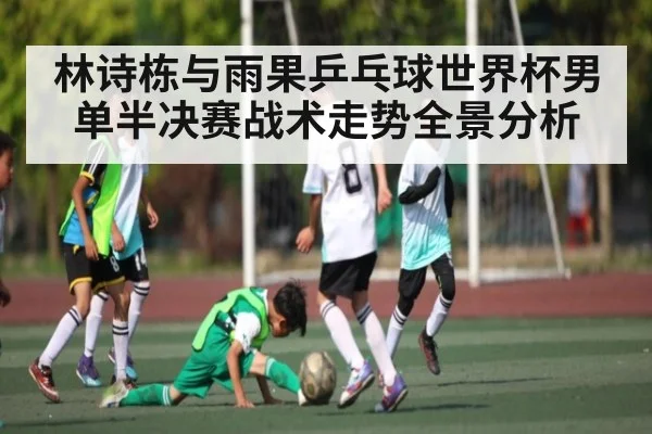 林诗栋与雨果乒乓球世界杯男单半决赛战术走势全景分析(Kaiyun APP)